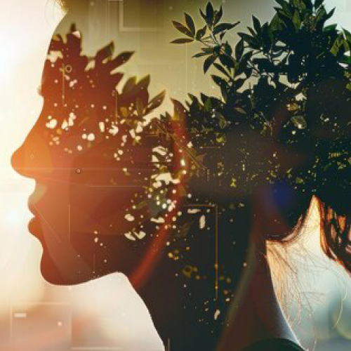 A consultant is doing its work