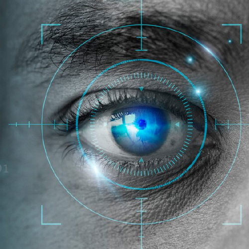 A consultant is doing its work