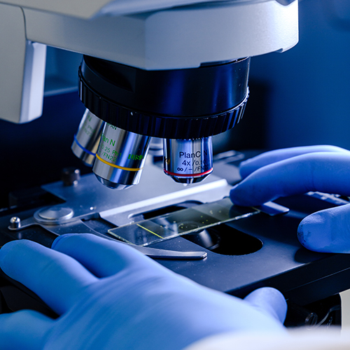 A consultant is doing its work